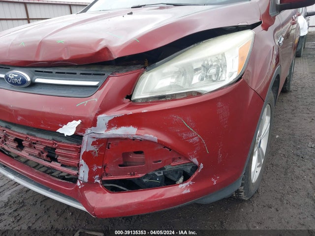 Ford ESCAPE SE 2014 1FMCU0GX7EUA84883 Image 12