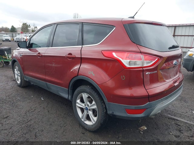 Ford ESCAPE SE 2014 1FMCU0GX7EUA84883 Image 3
