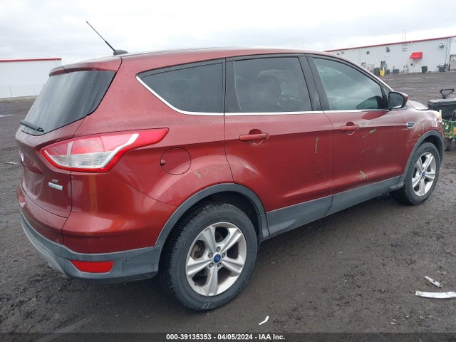 Ford ESCAPE SE 2014 1FMCU0GX7EUA84883 Image 4