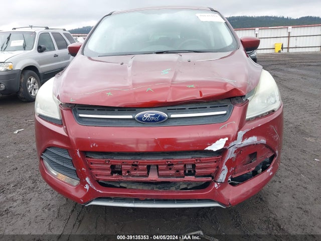 Ford ESCAPE SE 2014 1FMCU0GX7EUA84883 Image 6