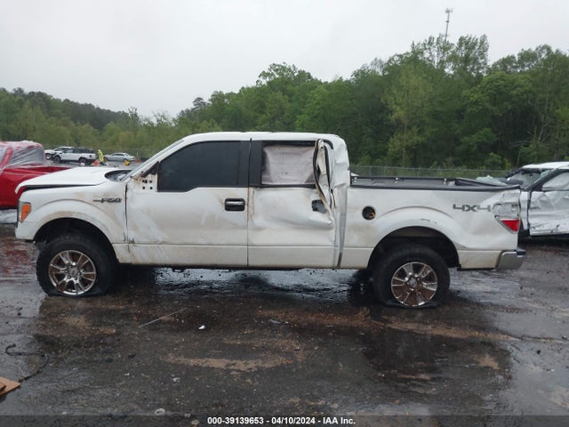 Ford F-150 Xlt 2014 1FTFW1EF6EFC07833 Image 14