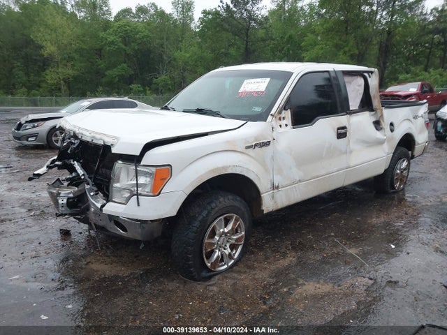 Ford F-150 Xlt 2014 1FTFW1EF6EFC07833 Image 2