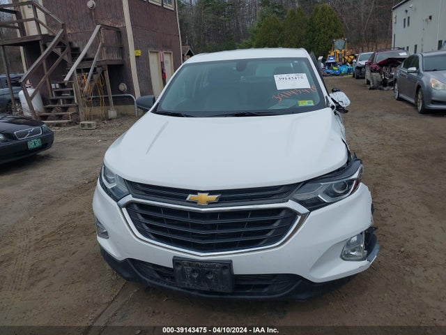 Chevrolet EQUINOX LS 2019 2GNAXSEV4K6226088 Image 12