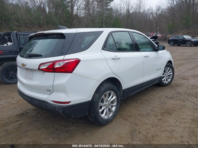 Chevrolet EQUINOX LS 2019 2GNAXSEV4K6226088 Image 4