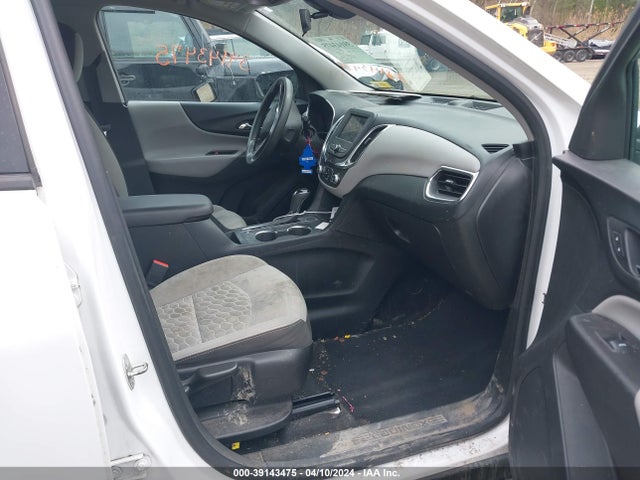 Chevrolet EQUINOX LS 2019 2GNAXSEV4K6226088 Image 5