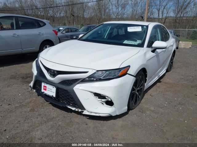 4T1G11AK3LU368067 Toyota CAMRY SE