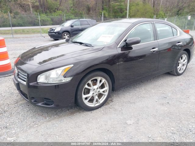 1N4AA5AP0EC482068 Nissan Maxima 3.5 S/3.5 Sv