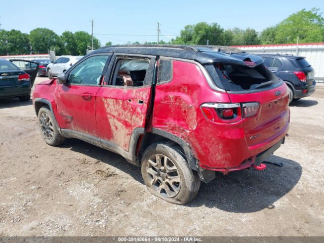 3C4NJDDB7LT207983 Jeep Compass Trailhawk 4x4