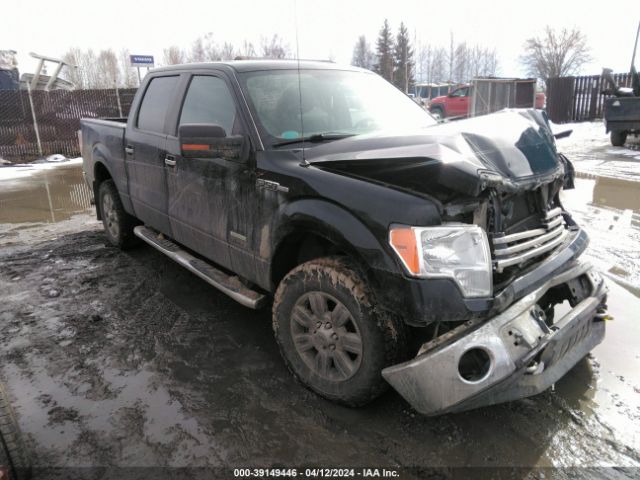 Auction sale of the 2011 Ford F-150 Xlt, vin: 1FTFW1ET3BFB45888, lot number: 39149446