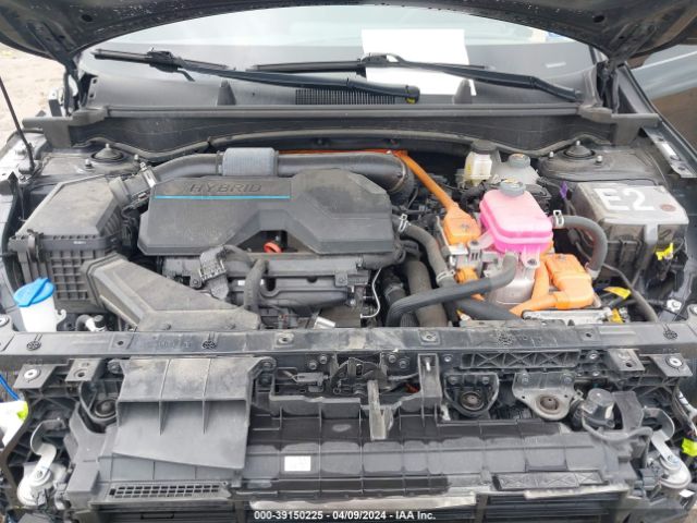 KNDPUCAG4P7050370 KIA Sportage Hybrid Lx
