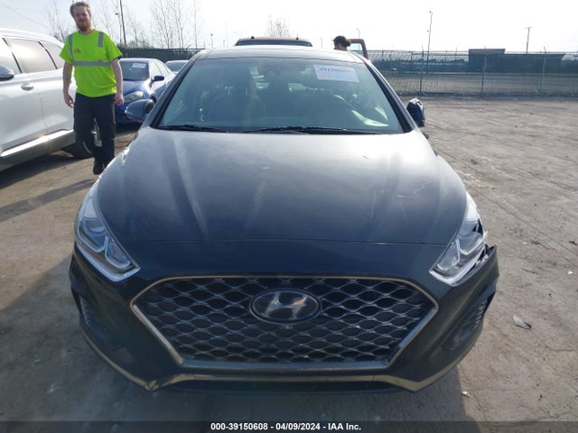 Hyundai Sonata Limited 2019 5NPE34AF6KH730685 Image 12