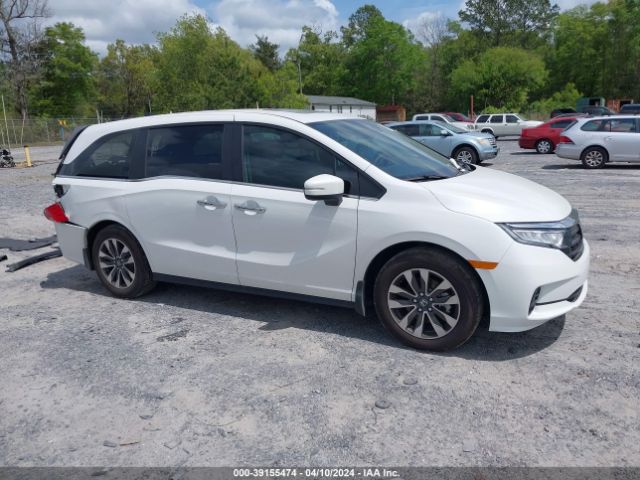 2024 HONDA ODYSSEY 5FNRL6H62RB019268