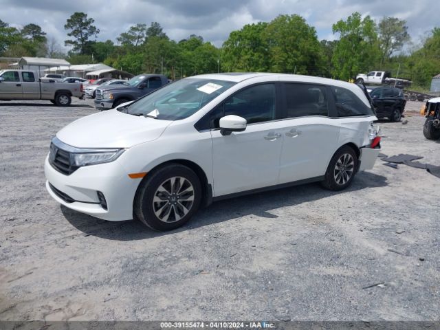 2024 HONDA ODYSSEY 5FNRL6H62RB019268 Photo 1
