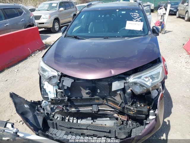 Toyota RAV4 SE 2016 2T3JFREV5GW443617 Image 12