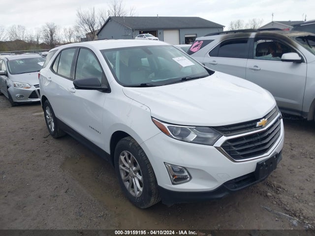 Chevrolet EQUINOX LS 2019 2GNAXHEV5K6151260 main image