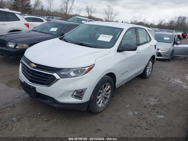 Chevrolet EQUINOX LS 2019 2GNAXHEV5K6151260 Image 2