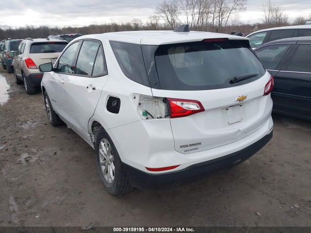 Chevrolet EQUINOX LS 2019 2GNAXHEV5K6151260 Image 3
