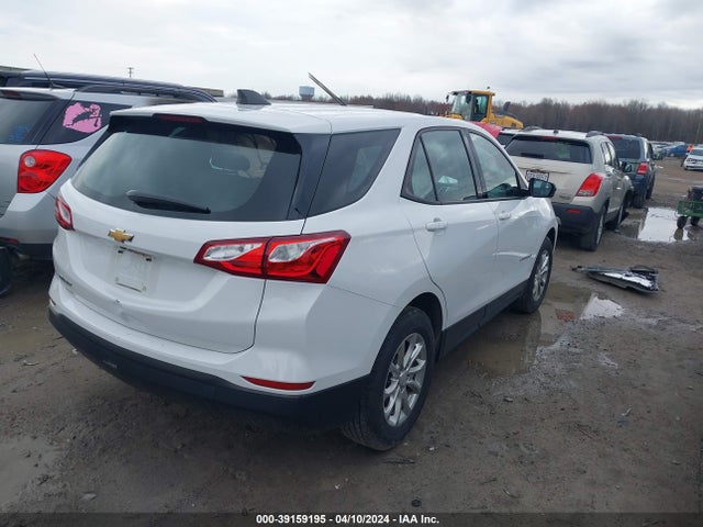 Chevrolet EQUINOX LS 2019 2GNAXHEV5K6151260 Image 4
