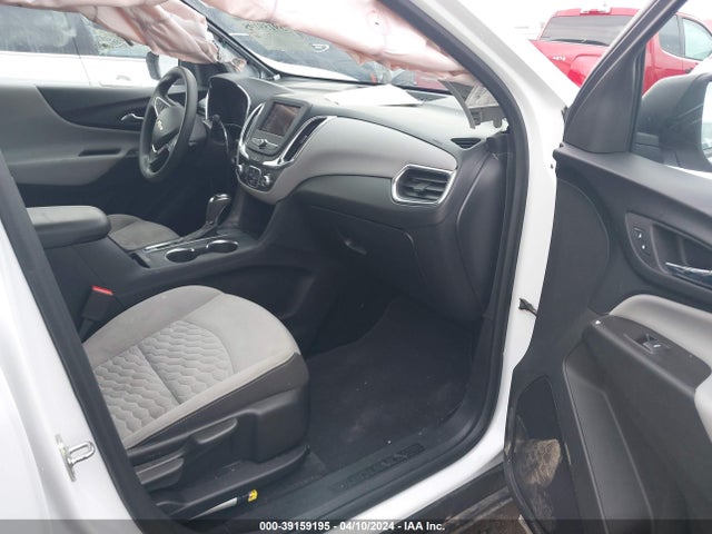 Chevrolet EQUINOX LS 2019 2GNAXHEV5K6151260 Image 5