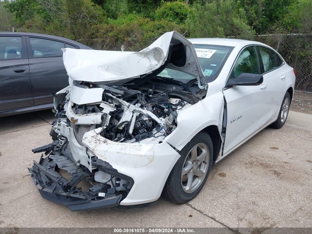 Chevrolet Malibu 1fl 2017 1G1ZC5STXHF224655 Image 2