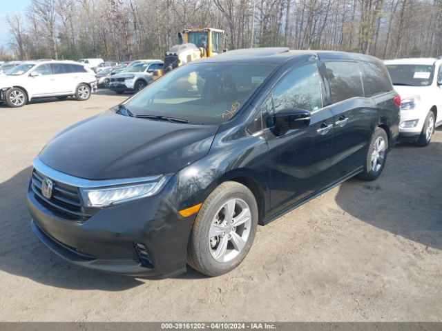 5FNRL6H99NB048822 Honda Odyssey Elite