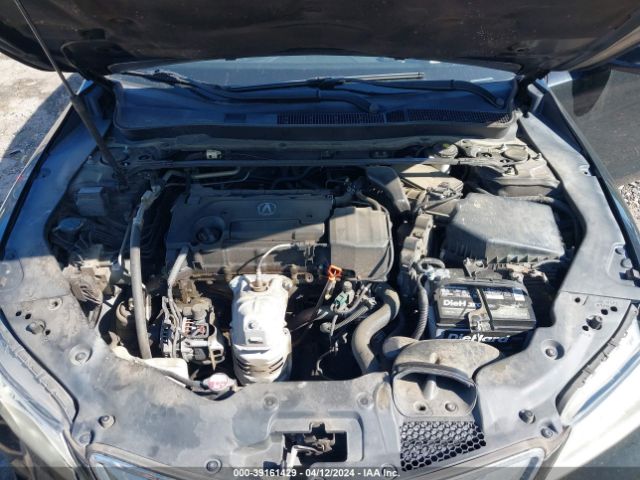 19UUB1F32FA016255 Acura TLX