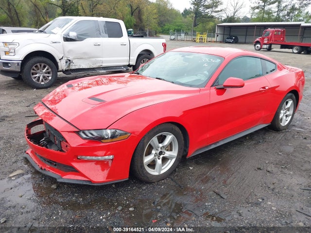 Ford Mustang 2019 1FA6P8TH2K5108556 Image 2
