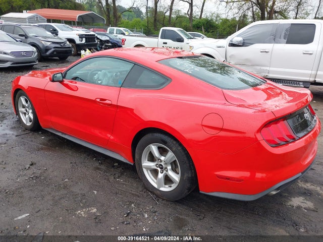 Ford Mustang 2019 1FA6P8TH2K5108556 Image 3