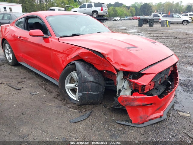 Ford Mustang 2019 1FA6P8TH2K5108556 Image 6