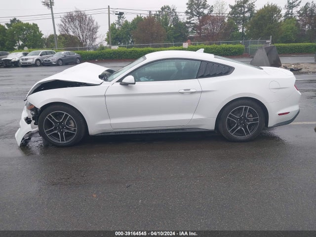 Ford Mustang Ecoboost Premium Fastback 2021 1FA6P8TH8M5103560 Image 14