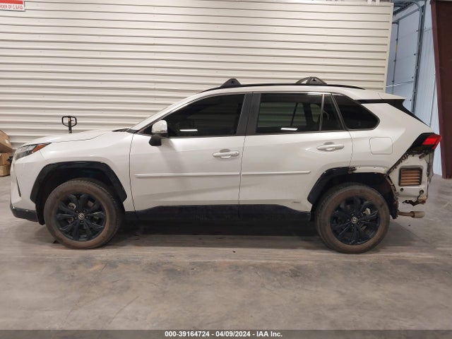 Toyota Rav4 Se Hybrid 2023 JTM16RFV5PD096351 Image 14
