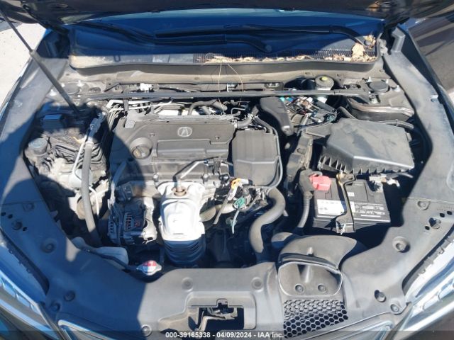 19UUB1F32GA000428 Acura TLX