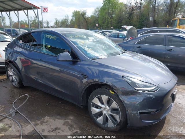 Продаж на аукціоні авто 2023 Tesla Model Y, vin: 7SAYGDEE7PF699734, номер лоту: 39168042