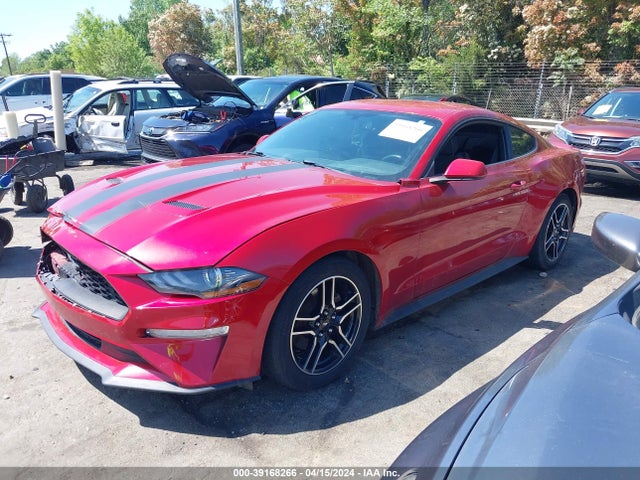 Ford Mustang Ecoboost Fastback 2020 1FA6P8TH0L5159328 Image 2
