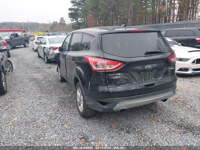 Ford ESCAPE SE 2014 1FMCU0GX5EUA42485 Image 3