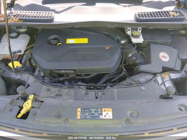 Ford ESCAPE SE 2015 1FMCU0GX4FUC21019 Image 10