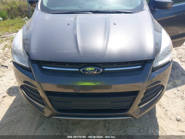 Ford ESCAPE SE 2015 1FMCU0GX4FUC21019 Image 6