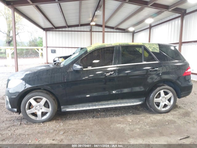 Mercedes-Benz ML 350 2015 4JGDA5JB6FA531312 Image 15