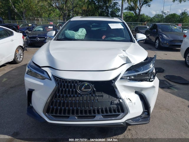 Lexus Nx 250 Premium 2024 2T2GDCAZ6RC012623 Image 12