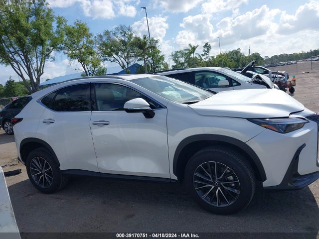 Lexus Nx 250 Premium 2024 2T2GDCAZ6RC012623 Image 13