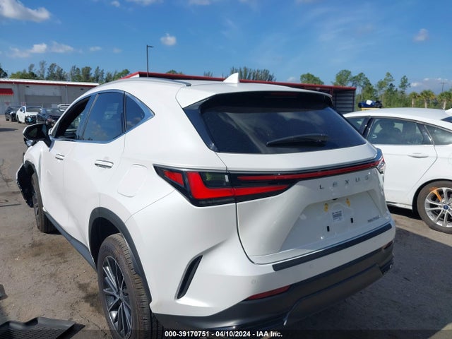 Lexus Nx 250 Premium 2024 2T2GDCAZ6RC012623 Image 3