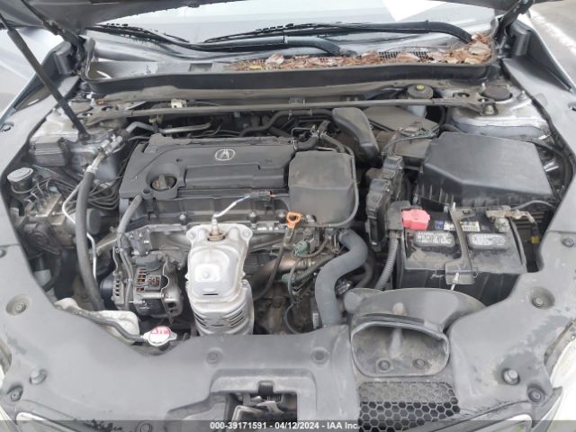 19UUB1F32GA013504 Acura TLX