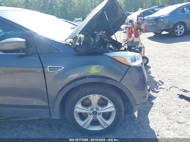 Ford ESCAPE SE 2016 1FMCU0G98GUA72004 Image 14