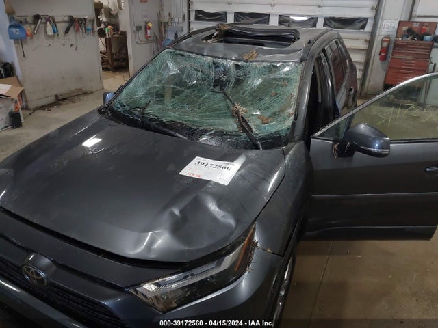 Toyota Rav4 Xle 2023 2T3P1RFV0PC327069 Image 6