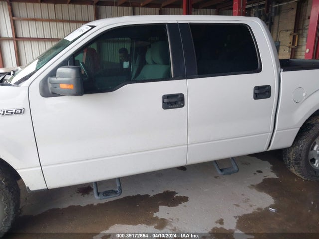 Ford F-150 Xlt 2014 1FTFW1CF5EKG46595 Image 14