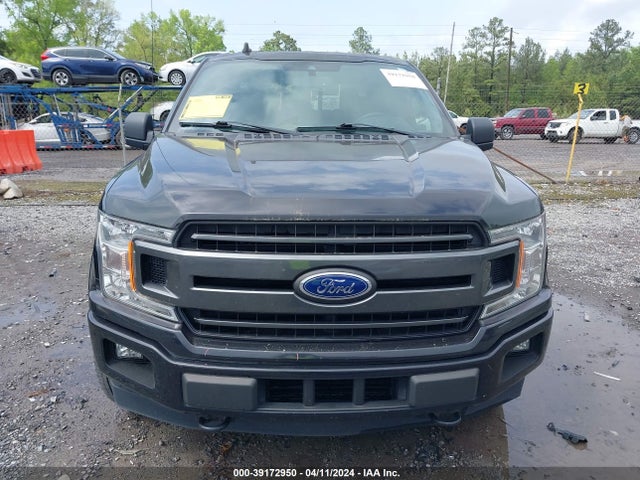 Ford F-150 Xlt 2019 1FTEW1EP2KFC22653 Image 12