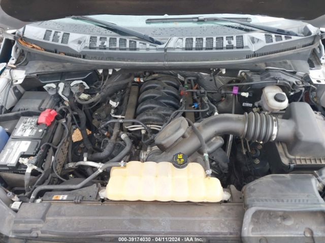 1FTEW1E53JFA08221 Ford F-150 Xlt
