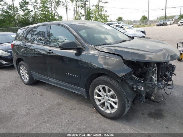 Chevrolet EQUINOX LS 2019 2GNAXHEV8K6112498 главное изображение