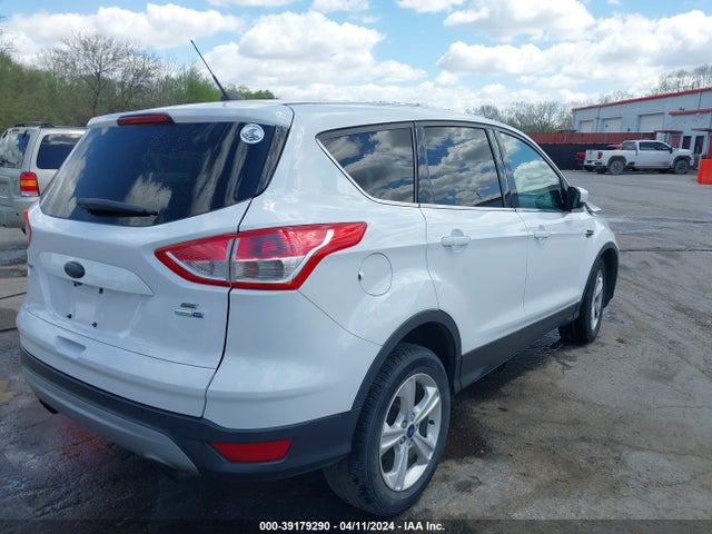 Ford ESCAPE SE 2014 1FMCU9GX1EUD58860 Image 4