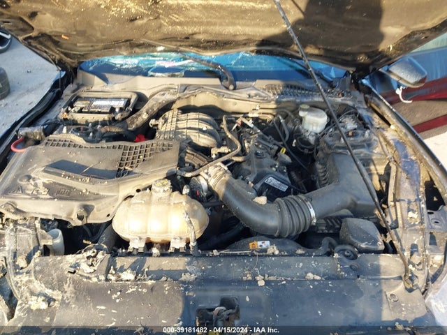 Ford Mustang V6 2017 1FA6P8AM7H5356861 Image 10